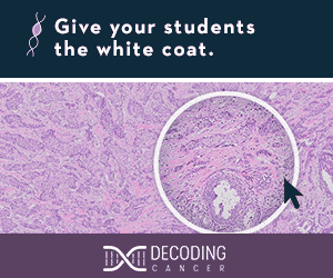 Discovery Education: Skinner Foundation Virtual Lab Marketing/Web Ads